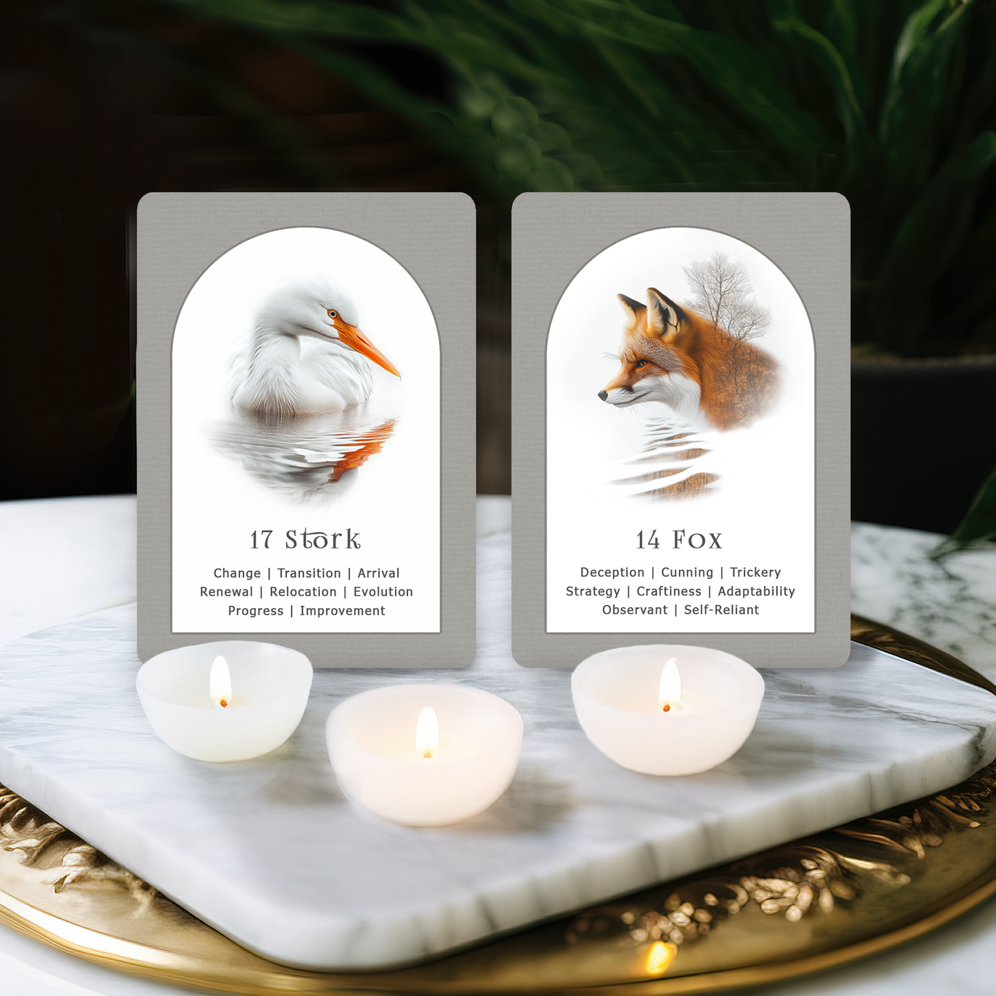 Learning Lenormand