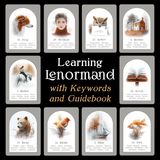 Learning Lenormand